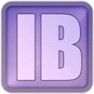 Input Bridge