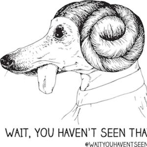 Wait, You Haven't Seen That?!