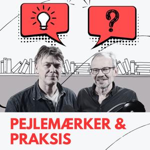 Pejlemærker og praksis