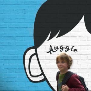 Le meraviglie di Wonder