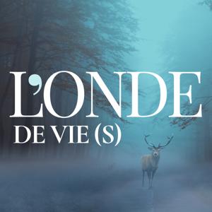 L'onde de vie(s)