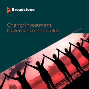 Charity Investment Governance Principles (CIGP) Series