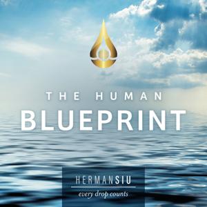 The Human Blueprint