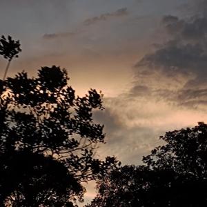 Sharold _mro's podcast