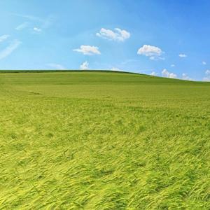 Journal régional de 12h30