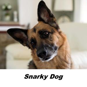 Sine Qua Non News Podcast