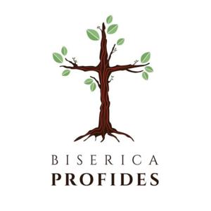 Biserica Profides