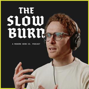 The Slow Burn