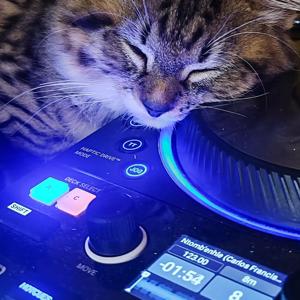 djdrfusion
