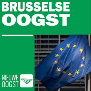 Brusselse Oogst