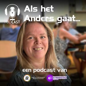 Als het anders gaat - Streekstad Centraal