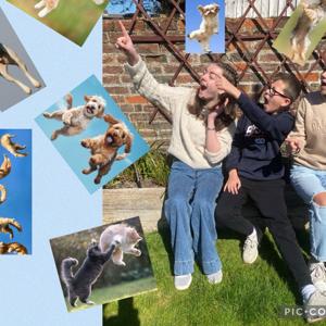 It’s Raining Cats And Dogs