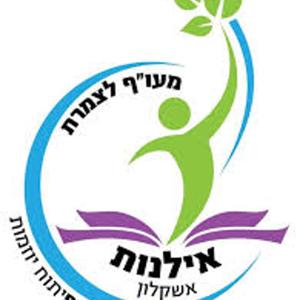 קול "אילנות" אשקלון- ערוך היסכתים בית ספרי