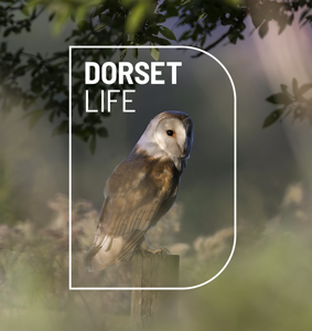 The Dorset Life Podcast