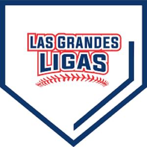 ESTAMOS EN LAS GRANDES LIGAS