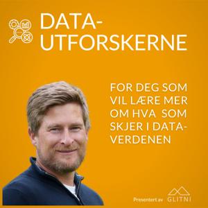 Datautforskerne
