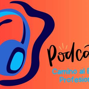 CAMINO AL EXITO PROFESIONAL