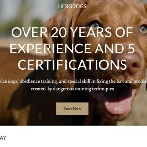 From Wolves To Sharks To Dogs - Busting Animal Behavior Myths!