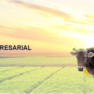 Evidencia GA4-240202501-AA1-EV02. Audio