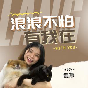 浪浪不怕，有我在