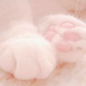 ⁺˖ ⸝⸝ 𐔌 ʚ 🌸 ɞ