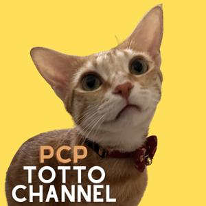 PCP TOTTO CHANNEL