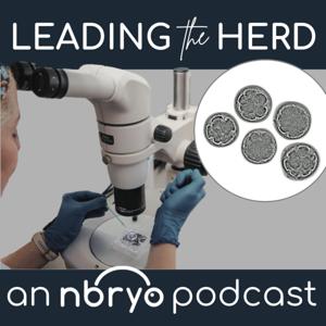 Leading the Herd - Innovations in Bovine Breeding
