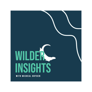 Wilder Insights