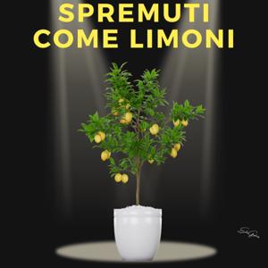 SPREMUTI COME LIMONI