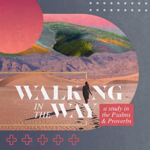 The Well (Women's Ministry) / Chapel Hill Bible Church