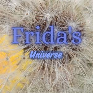 Frida's universe