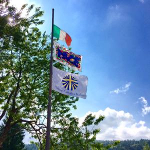 Azione Cattolica vicentina