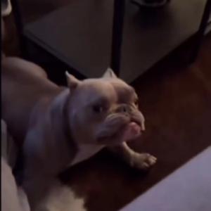 El podcast de Miguel Romero