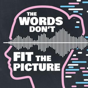 The Words Don't Fit the Picture: Gender vs. Voice