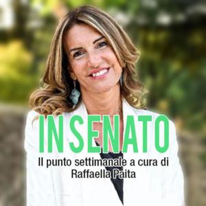 In Senato - Il punto Di Raffaella Paita