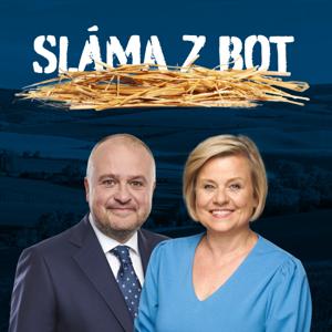 Sláma z bot