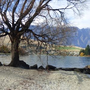 My journey with Parkinson's