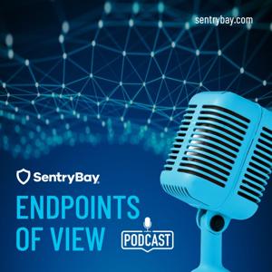 Endpoints Of View – Cybersecurity Podcast
