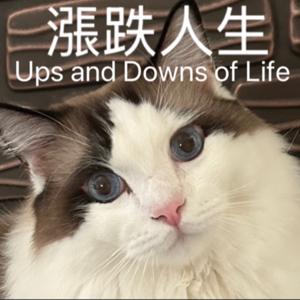 漲跌人生Ups and Downs of Life