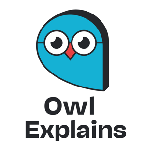 The Owl Explains Hootenanny