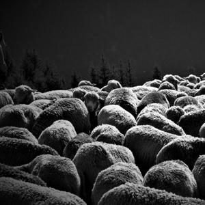 Zwischen Seedphrase und Relays