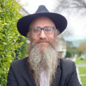Rabbi Tuvia Serber