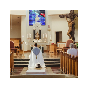 Homilies - Fr. Daniel Scheidt - St. Vincent de Paul