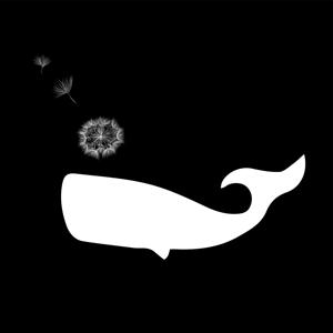 זמן מודעות עם זוהר