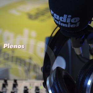 Radio Daimiel - Plenos