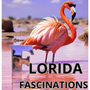 Florida Fascinations
