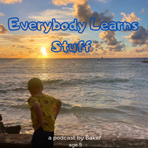 Everybody Learns Stuff