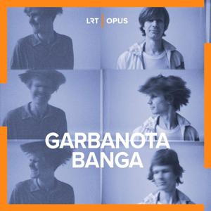 Garbanota banga
