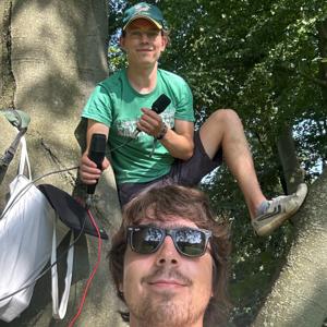 Nicht so miese Brise