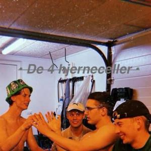 De 4 hjerneceller